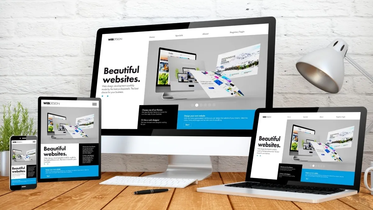 Professional Web Design Services
