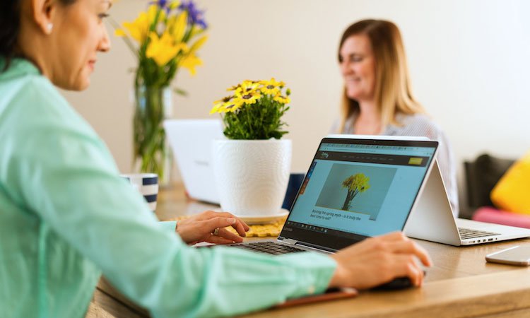 Rent a Website vs Owning One